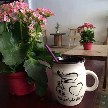 Tổng hợp- My Style Coffee