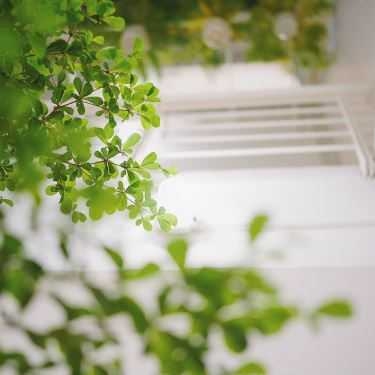Tổng hợp- Cafe Nấp Saigon