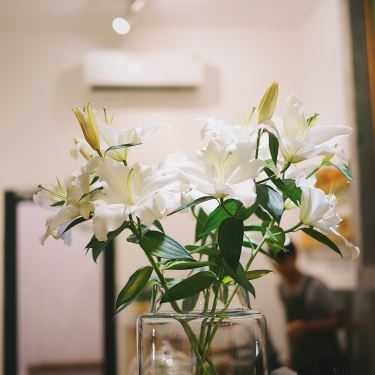 Tổng hợp- Cafe Nấp Saigon