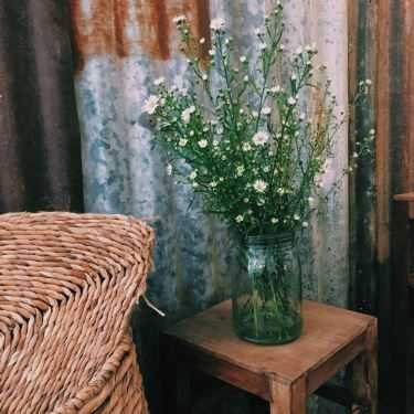 Tổng hợp- Cafe Nấp Saigon