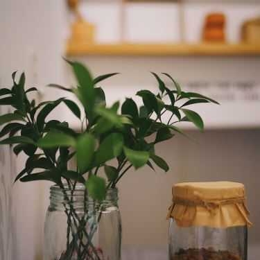 Tổng hợp- Cafe Nấp Saigon