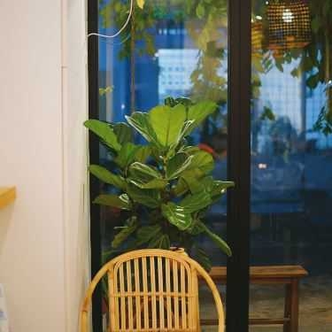 Tổng hợp- Cafe Nấp Saigon