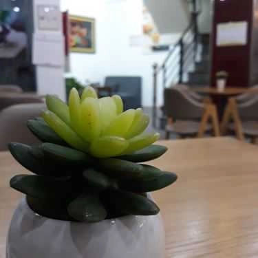 Tổng hợp- Cafe Natsuko - Kem Đá Bào Nhật Bản - Xuân Diệu