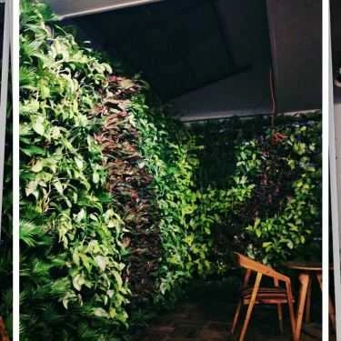 Tổng hợp- Nếp Coffee