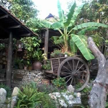 Tổng hợp- Nét Xưa - Cafe Sân Vườn