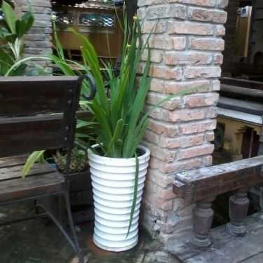 Tổng hợp- Nét Xưa - Cafe Sân Vườn
