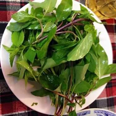 Tổng hợp- Nghĩa Phát - Quán Nhậu Hải Sản