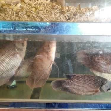 Tổng hợp- Quán Nhậu Ngộ - Lẩu & Nướng Hải Sản