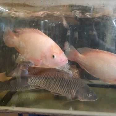 Tổng hợp- Quán Nhậu Ngộ - Lẩu & Nướng Hải Sản