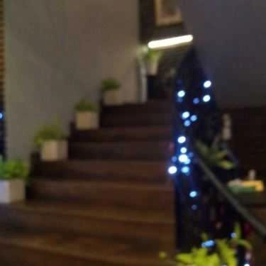 Tổng hợp- Quán Ăn Nhà Hàng Chay Đóa Sen Vàng - Nguyễn Văn Trỗi