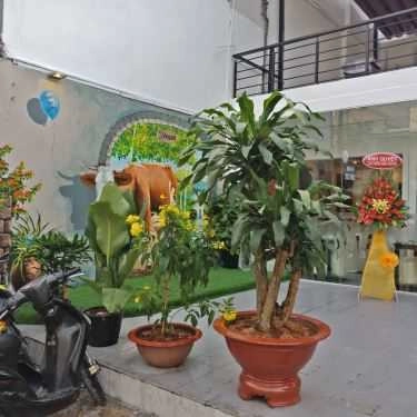 Tổng hợp- Quán Ăn Nhà Hàng Thuần Chay - iVegan
