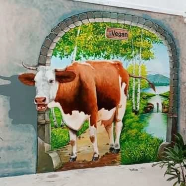 Tổng hợp- Quán Ăn Nhà Hàng Thuần Chay - iVegan
