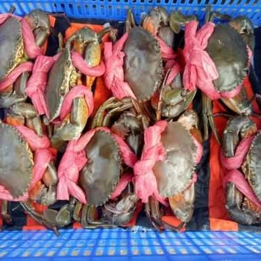 Tổng hợp- Quán Nhậu Nhà Hàng Hải Sản Hòn Rơm