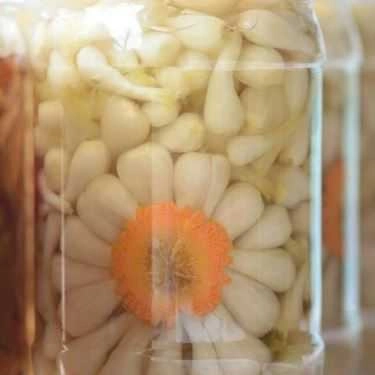 Món ăn- Nhâm Nhi Ngày Tết - Shop Online