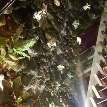 Tổng hợp- Nhật Nguyệt Cafe 1 - Trường Sơn