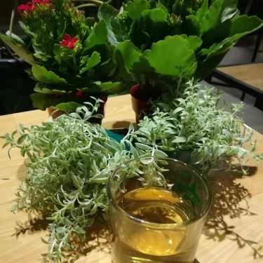 Tổng hợp- Nhiên Coffee