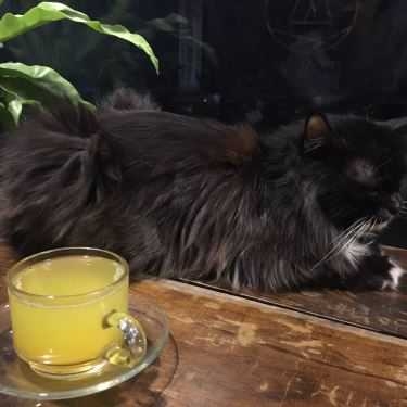Tổng hợp- Nomad Cafe - Nguyễn Đình Chiểu