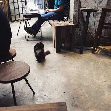 Tổng hợp- Nomad Cafe - Nguyễn Đình Chiểu