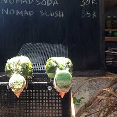 Tổng hợp- Nomad Cafe - Nguyễn Đình Chiểu