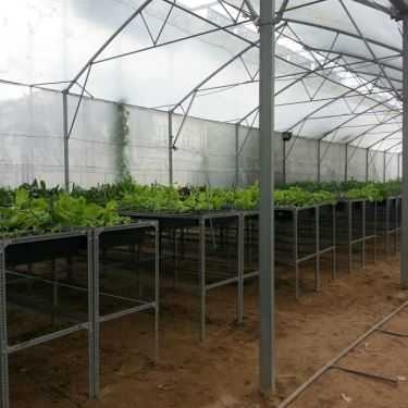 Không gian- Cafe Nông Trại Cánh Cam - Ladybug Farm