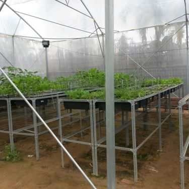 Không gian- Cafe Nông Trại Cánh Cam - Ladybug Farm