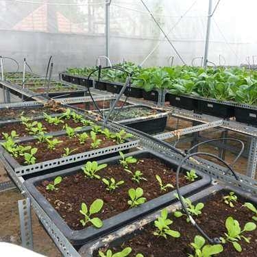 Không gian- Cafe Nông Trại Cánh Cam - Ladybug Farm