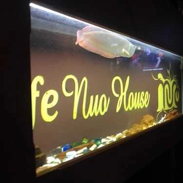 Tổng hợp- Nuo House Coffee