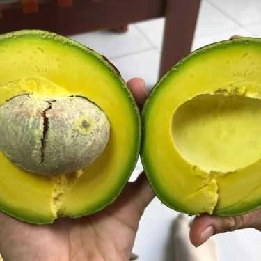 Món ăn- Cafe Sức Sống Mới - Nước Ép & Sinh Tố