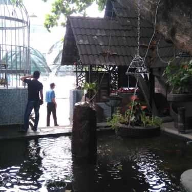 Tổng hợp- Oasis Cafe