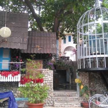 Tổng hợp- Oasis Cafe