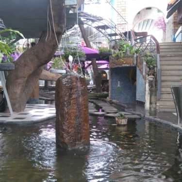 Tổng hợp- Oasis Cafe