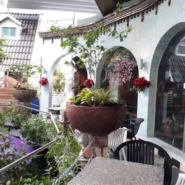 Tổng hợp- Oasis Cafe