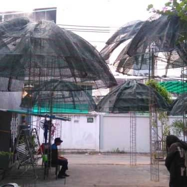 Tổng hợp- Oasis Cafe