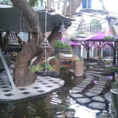 Tổng hợp- Oasis Cafe