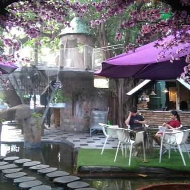 Tổng hợp- Oasis Cafe