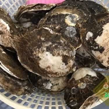 Tổng hợp- Ăn vặt Ốc 38 - Nguyễn Bặc