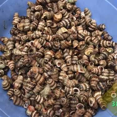 Tổng hợp- Ăn vặt Ốc 38 - Nguyễn Bặc