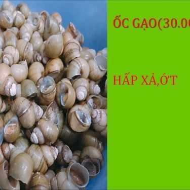 Tổng hợp- Ăn vặt Ốc 38 - Nguyễn Bặc