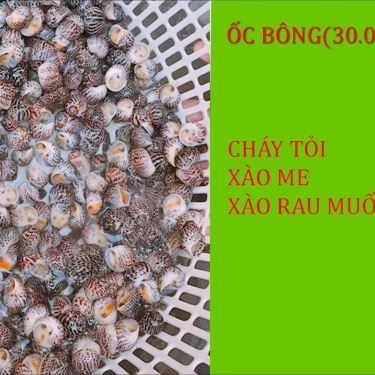 Tổng hợp- Ăn vặt Ốc 38 - Nguyễn Bặc