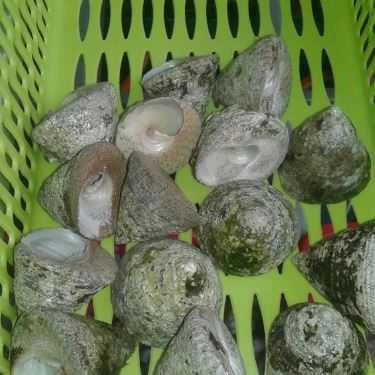 Tổng hợp- Ăn vặt Ốc Bình Dân - Nguyễn Công Trứ