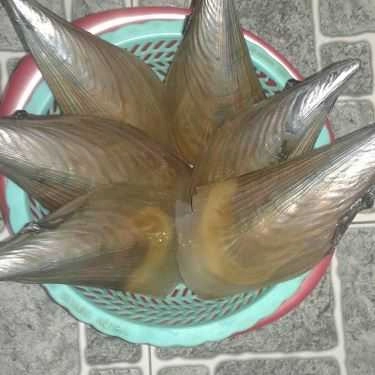 Món ăn- Ăn vặt Ốc Bình Dân - Nguyễn Công Trứ
