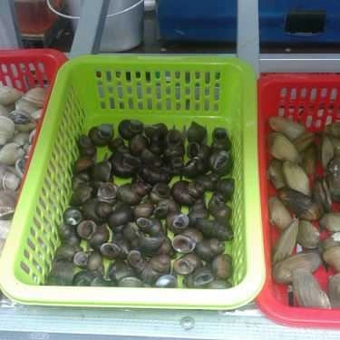Món ăn- Ăn vặt Ốc Bình Dân - Nguyễn Công Trứ