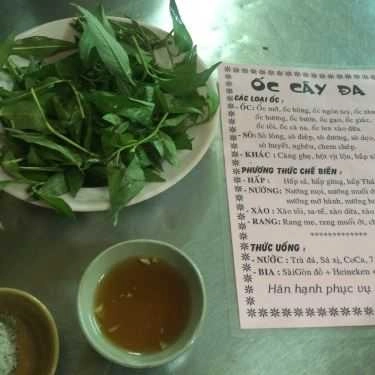 Món ăn- Ăn vặt Ốc Cây Đa - Hoàng Hoa Thám