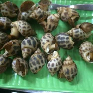 Món ăn- Ăn vặt Ốc Cây Đa - Hoàng Hoa Thám