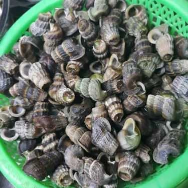 Món ăn- Ăn vặt Quán Ốc - Chung Cư Nhiêu Lộc