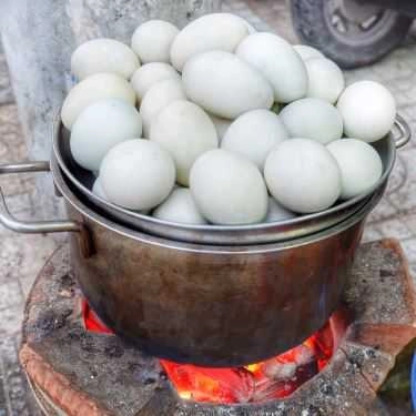 Tổng hợp- Ăn vặt Ốc Cúc - Cô Bắc