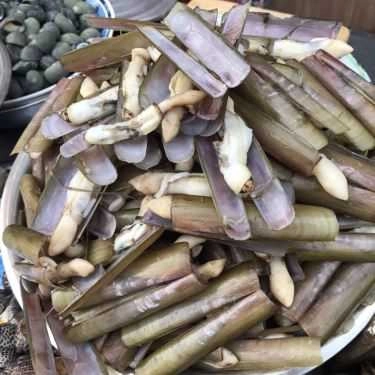 Tổng hợp- Ăn vặt Ốc Cúc - Cô Bắc