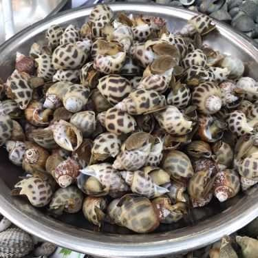 Tổng hợp- Ăn vặt Ốc Cúc - Cô Bắc
