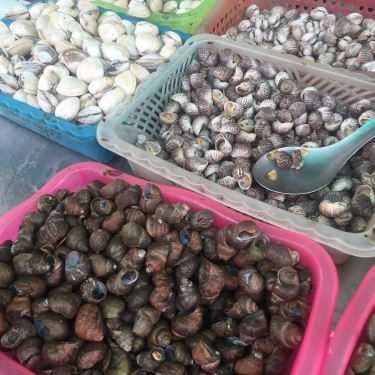 Tổng hợp- Ăn vặt Ốc Hẻm 243