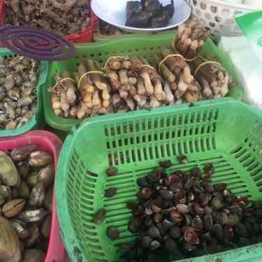 Tổng hợp- Ăn vặt Ốc Hẻm 243